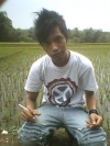 Andr 2